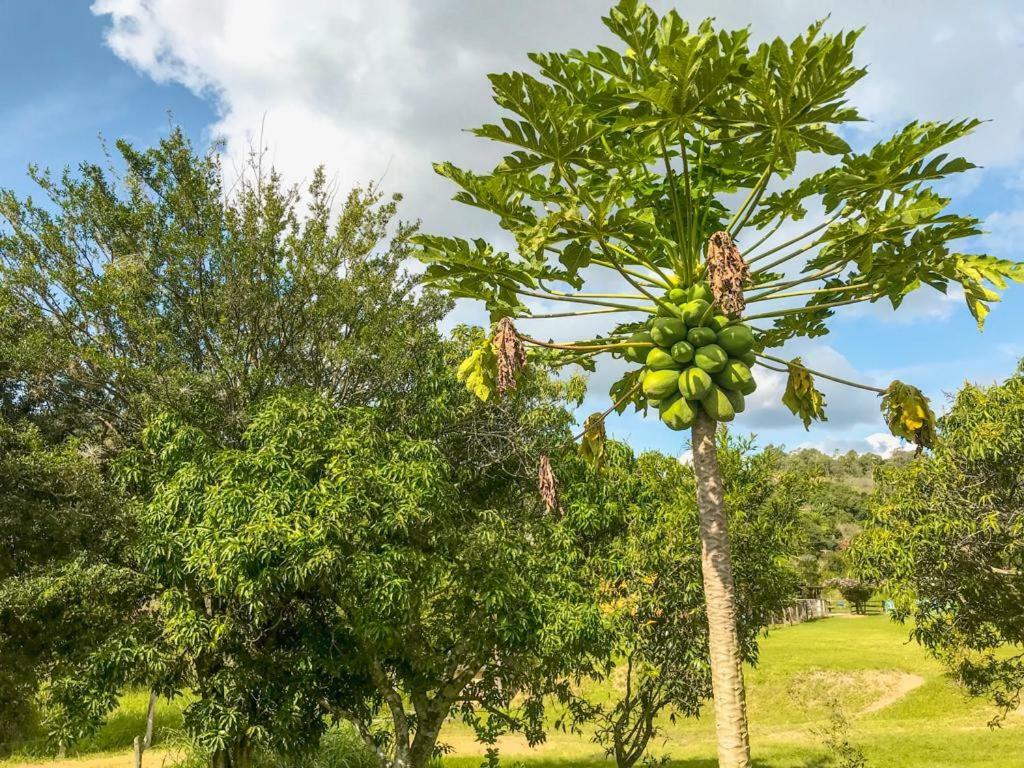 Fazenda Paisagem Chales Serra Negra  Exterior photo